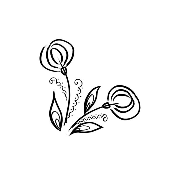 植物植物蒲公英花。孤立的说明性元素。白底线条手绘野花 — 图库照片