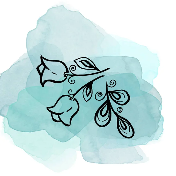 Bitki örtüsü çiçekli campanula ve suluboya mavi renkte bırak. İzole illüstrasyon elementi. Çizgi sanatçısı beyaz arka planda kır çiçeği çiziyor — Stok fotoğraf