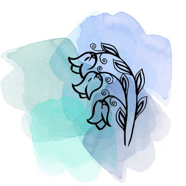 푸른 수채화 물보라와 얼룩 무늬의 식물학적 캄파 누라 꽃이 핀다. 독자적 인 삽화 요소. 흰 배경에 야생 화를 손으로 그린 라인 아트 — 스톡 사진