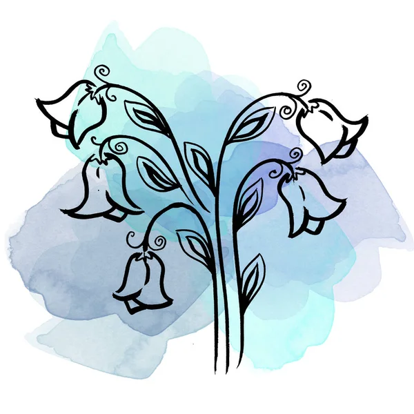 Colorful line art campanula Flower with Leave on watercolor blue blots. Linear hand drawing floral elements on white background — Stockfoto