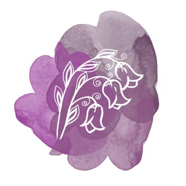 Floral botanical campanula white flower on purple watercolor splash and blot. Isolated illustration element. Line art hand drawing wildflower on white background