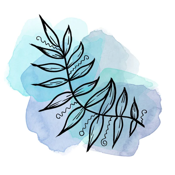 Colorful line art tropical Leave on watercolor blue splash and blot. Linear hand drawing Leaf on white background — Stockfoto