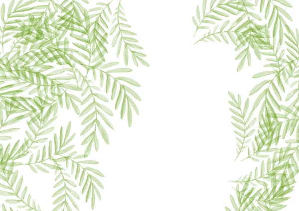 Πλαίσιο υδατογραφίας για κείμενο. Πρόσκληση γάμου. Λευκό φόντο. Δέντρα με φύλλα — Φωτογραφία Αρχείου