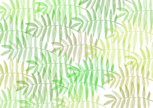 Tropical leave on white Background — Zdjęcie stockowe