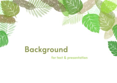 beyaz arkaplanda yeşil yapraklar