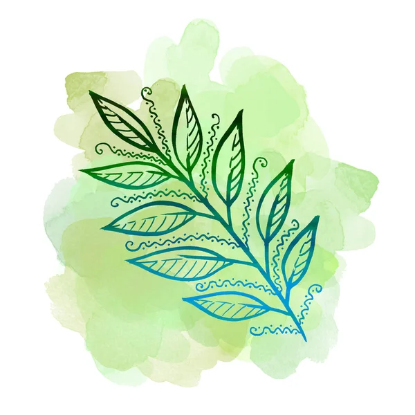 Colorful line art laurel Leave on watercolor green blot. Linear hand drawing Leaf on white background — Stock fotografie