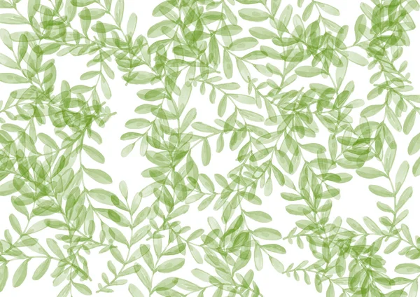 Τροπικά πράσινα φύλλα σε λευκό φόντο — Φωτογραφία Αρχείου