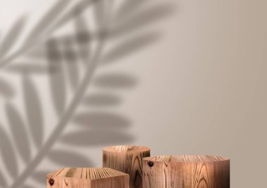 Wooden exhibition podium. 3D Background. Branch shadow with tropical Leaves. Stand for cosmetic products. 3D rendering