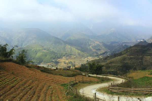 A valley with rice fields. Rice multi-stage gardens. Valley of the city of Sapa, Vietnam