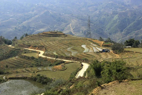 Sapa ve Lao Chai Vadisi. Pirinç tarlalı vadi. Pirinç çok aşamalı bahçeler. Lao hai köyü. Vietnam