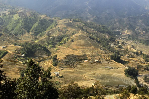 Vale Cidade Sapa Lao Chai Vale Com Campos Arroz Arroz — Fotografia de Stock