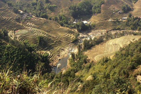 Sapa Lao Chai Városának Völgye Völgy Rizsföldekkel Rizs Többlépcsős Kert — Stock Fotó