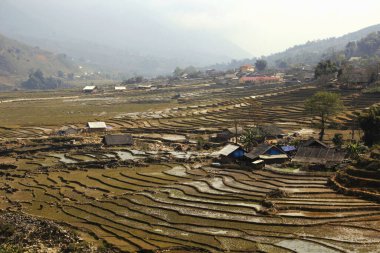 Sapa ve Lao Chai Vadisi. Pirinç tarlalı vadi. Pirinç çok aşamalı bahçeler. Lao hai köyü. Vietnam