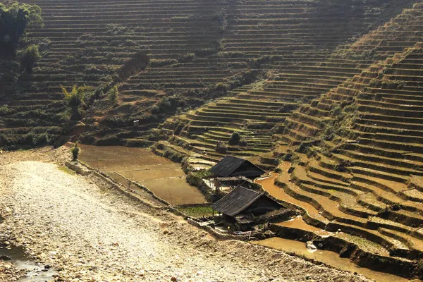 Valley of the city of Sapa and Lao Chai. Valley with rice fields. Rice multi-stage gardens. The village of Lao Chai. Vietnam