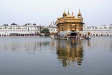 Harmandir Sahib veya Altın Tapınak. Amritsar, Hindistan 