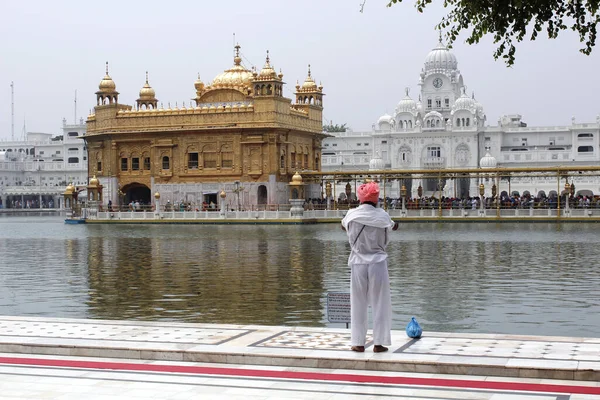 Harmandir Sahib Nebo Zlatý Chrám Amritsar Indie — Stock fotografie