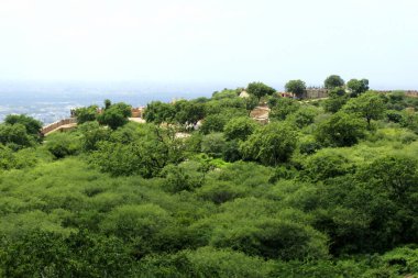 Nahargarh kale bahçesi. Jaipur, Hindistan