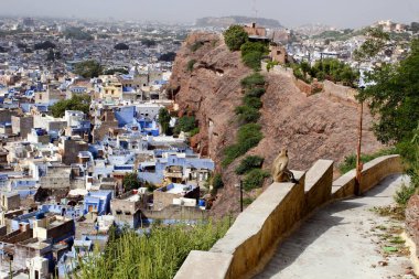 Jodhpur, Hindistan 'ın mavi kasabasının manzarası 