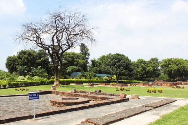 Dhamek stupa 'nın yanına park et. Sarnath, Hindistan 