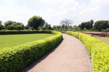 Dhamek stupa 'nın yanına park et. Sarnath, Hindistan 
