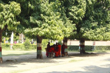 Ağacın altındaki keşişler. Sarnath, Hindistan 
