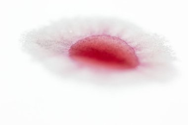 Beyaz çarşaftaki şarap lekesi. Grafik kaynak. kavramsal, nüanslar