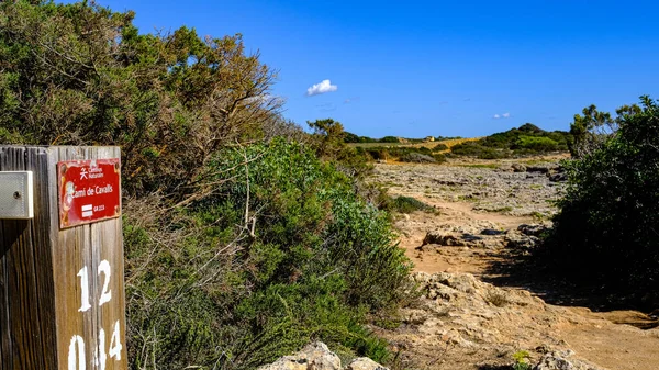 Widok Panoramy Szlaku Trekkkingowego Koni Menorce Baleary Hiszpania — Zdjęcie stockowe