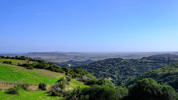 西班牙Menorca的顶部视图 全景及绿化景观 — 图库照片