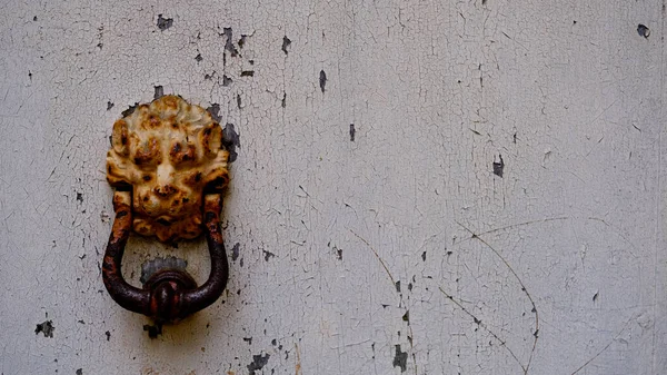 Beyaz Kapısında Aslan Kafası Olan Antika Kapı Tokmağı — Stok fotoğraf