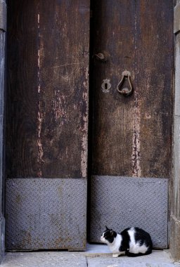 Antik yarı açık kapı girişindeki kedi. Basilicata, İtalya