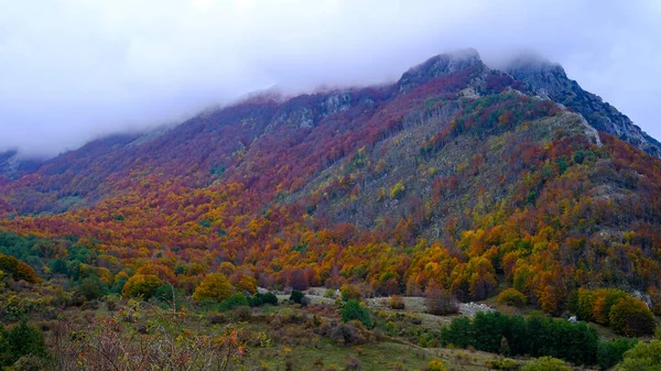 Podzimní Krajina Barevnými Stromy Horami Mraky Basilicata Itálie — Stock fotografie