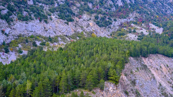 Paisagem Montanhosa Com Céu Floresta Pinheiros Parede Rochosa Basilicata Itália — Fotografia de Stock