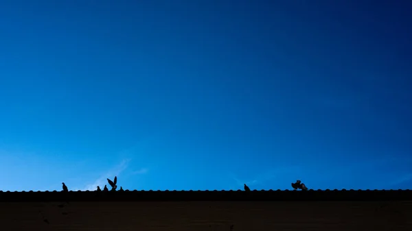 Silueta Techo Con Palomas Casa Cielo Azul — Foto de Stock