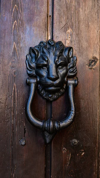 Black Iron Door Knocker Lion Head Brown Door — Stock Photo, Image