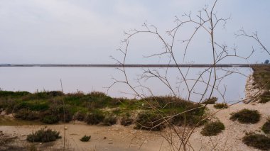 Salt pan of Margherita di Savoia. Apulia, Italy. salt processing.