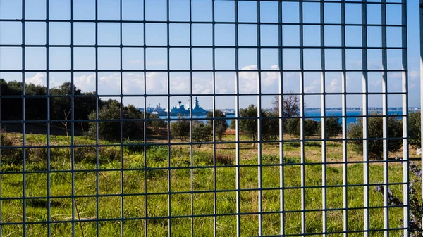 Warships Bottom Iron Grid Olive Tree Field Apulia Italy — Φωτογραφία Αρχείου