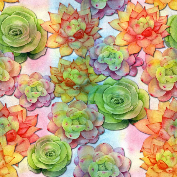 Succulent. Decorative graphic composition on the watercolor background. Seamless pattern. Abstract background image. Use printed materials, signs, items, websites, maps, posters, postcards.
