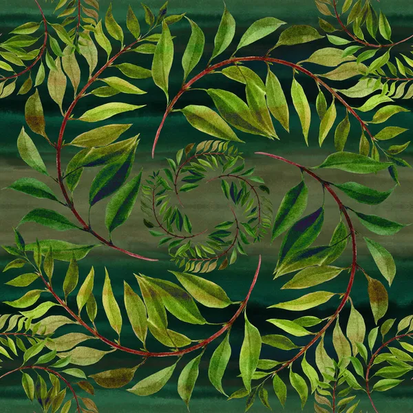 Κλάδος Φύλλα Φόντο Ακουαρέλας Floral Ακουαρέλα Απρόσκοπτη Συμπεριφορά Σχέδιο Φυτών — Φωτογραφία Αρχείου
