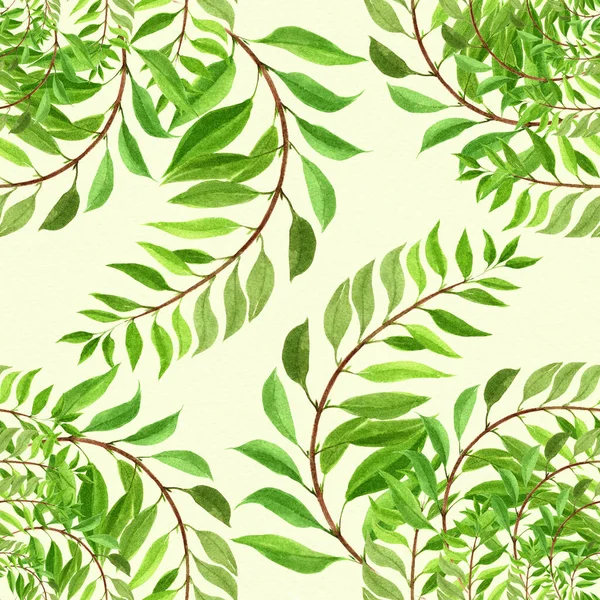 Branch Leaves Watercolor Background Floral Watercolor Seamless Patterns Plant Pattern — Stock Photo, Image