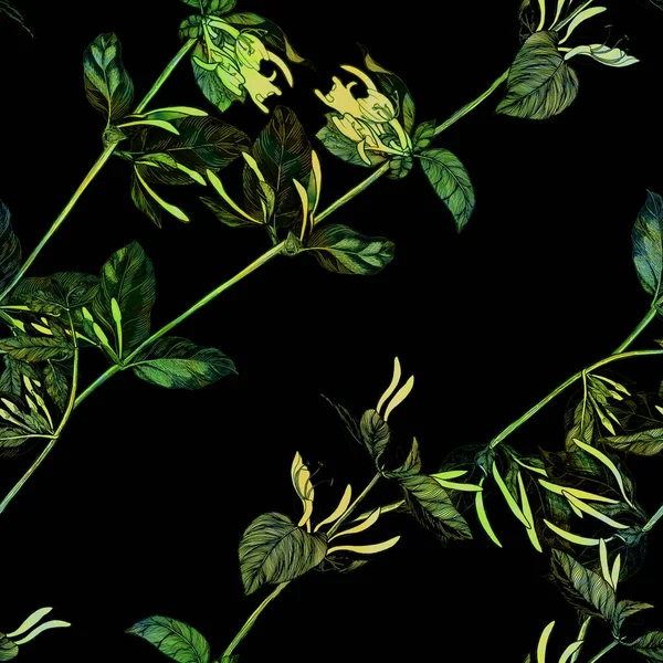 Hanımeli Demek Çiçekleri Tomurcukları Olan Bir Dal Bahçe Çiçeği Suluboya — Stok fotoğraf