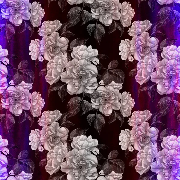 Bloemen Van Een Tak Van Rozen Met Bladeren Bloemen Knoppen — Stockfoto