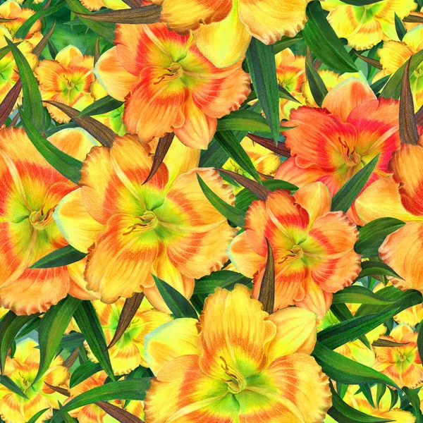 Bloemen Een Aquarelachtergrond Gele Daglelie Aquarel Behang Met Bloemmotieven Naadloos — Stockfoto