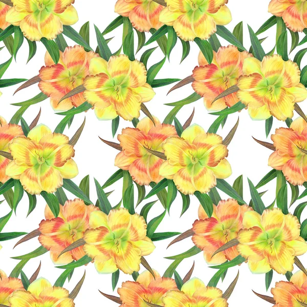 Flowers Watercolor Background Yellow Daylily Watercolor Wallpaper Floral Motifs Seamless — Stock Photo, Image