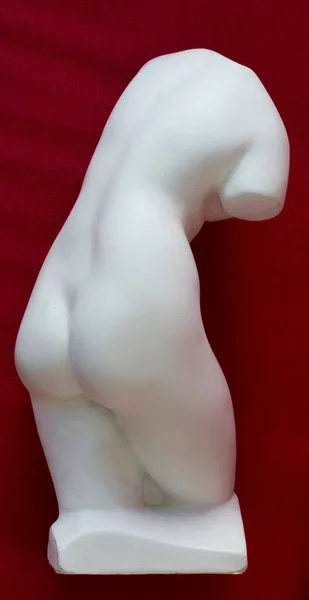 Torse Féminin Modèle Plâtre Fonte Objet Dessiner Étude Anatomie Humaine — Photo