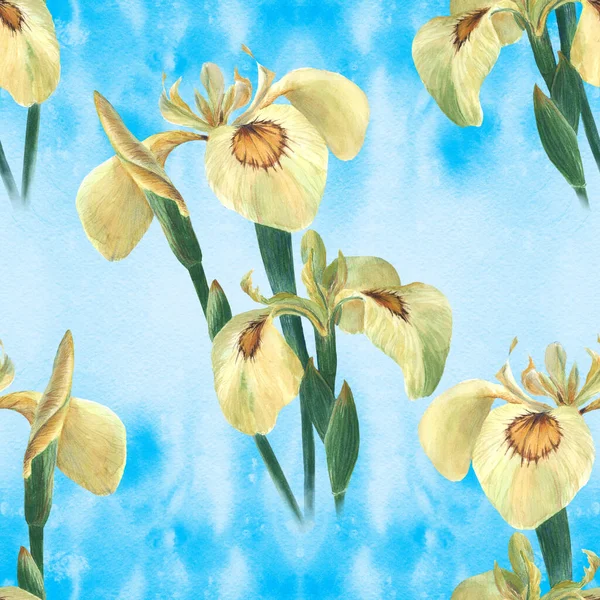 Iris Sömlöst Mönster Dekorativ Sammansättning Blommor Och Knoppar Iris Bakgrunden — Stockfoto