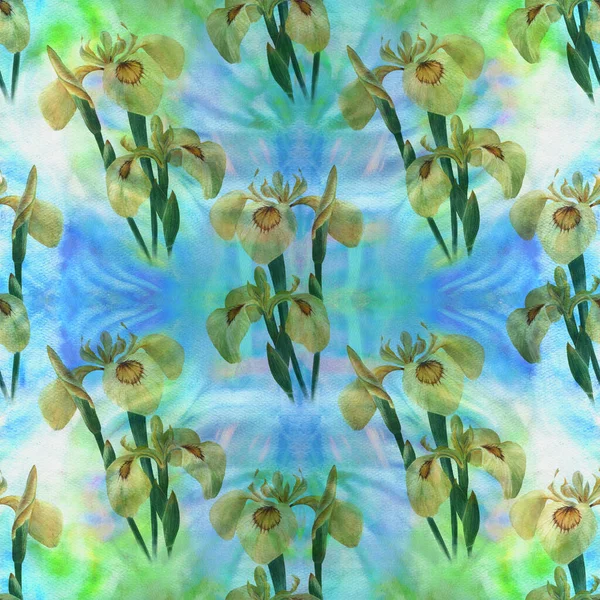 Jestem Iris Płynny Wzór Kompozycja Dekoracyjna Kwiaty Pąki Tęczówek Tle — Zdjęcie stockowe