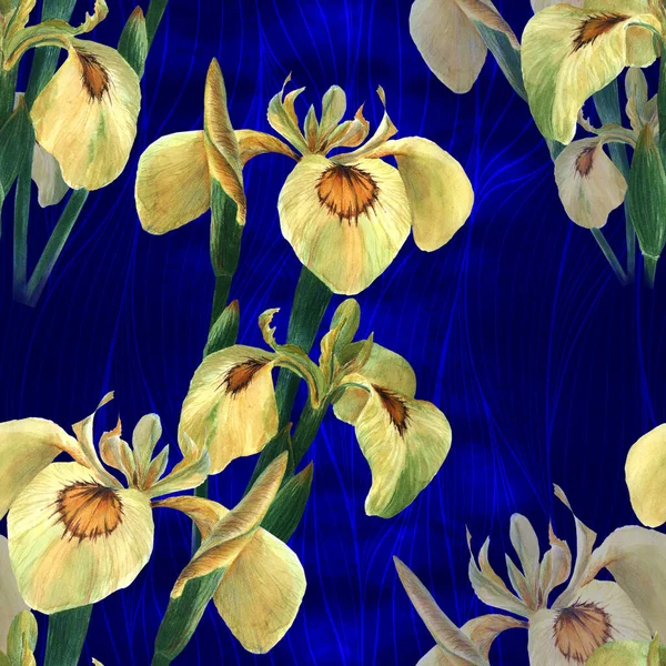 Iris Sömlöst Mönster Dekorativ Sammansättning Blommor Och Knoppar Iris Bakgrunden — Stockfoto