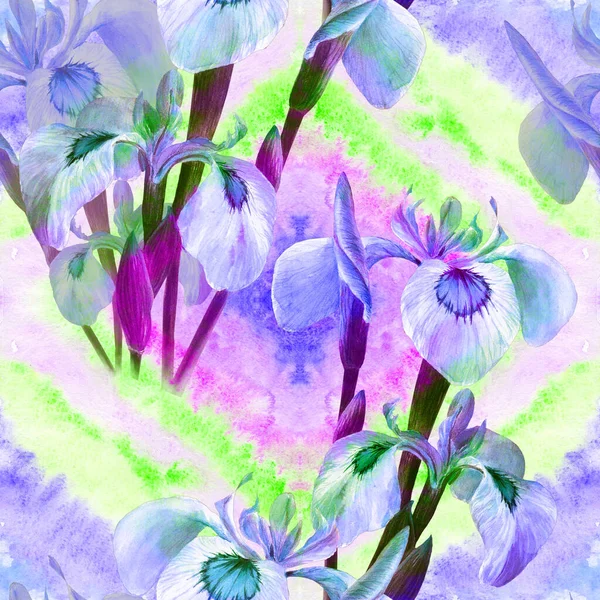 Iris Bezproblémový Vzorec Dekorativní Kompozice Květiny Poupata Duhovek Pozadí Akvarelu — Stock fotografie
