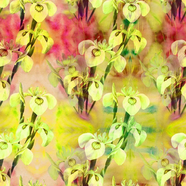 Айріс Безшовні Візерунки Декоративна Композиція Квіти Бруньки Ірисів Задньому Плані — стокове фото