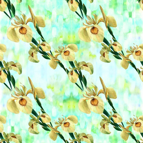 Άιρις Απρόσκοπτο Μοτίβο Διακοσμητική Σύνθεση Λουλούδια Και Μπουμπούκια Από Ίριδες — Φωτογραφία Αρχείου